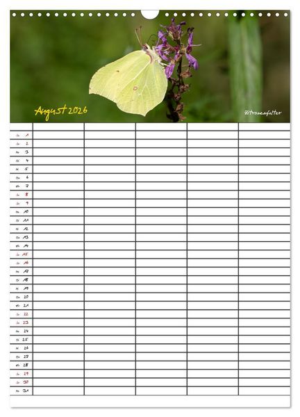 Produktbild: Schmetterlinge in Bayern (Wandkalender 2026 DIN A3 hoch), CALVENDO Monatskalender