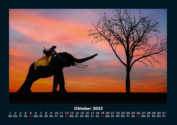 Produktbild: Sonnenuntergang 2025 Fotokalender DIN A4