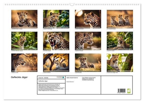 Produktbild: Gefleckte J&auml;ger (Wandkalender 2026 DIN A2 quer), CALVENDO Monatskalender