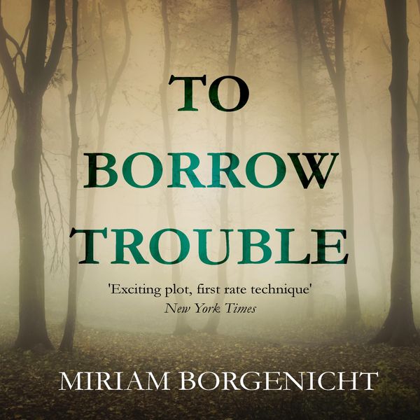 To Borrow Trouble - Miriam Borgenicht, Audio, 9781839011009