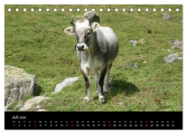 Produktbild: Die Welt der Berge (Tischkalender 2026 DIN A5 quer), CALVENDO Monatskalender