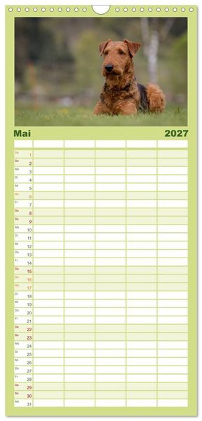 Produktbild: Familienplaner 2027 - Airedale-Terrier, was sonst! mit 5 Spalten (Wandkalender, 21 x 45 cm) CALVENDO