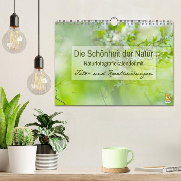 Produktbild: Die Sch&ouml;nheit der Natur - Naturfotografie-Kalender mit Foto- und Kreativ&uuml;bungen (Wandkalender 2026 DIN A4 quer), CALVENDO Monatskalender