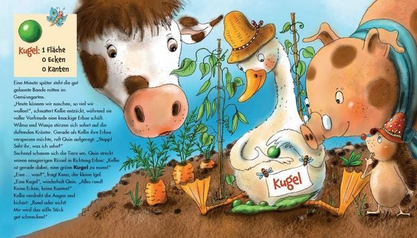 Produktbild: Kugel, W&uuml;rfel, Pyramide ... kennst du die Unterschiede?