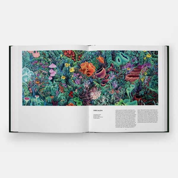Produktbild: Fungi