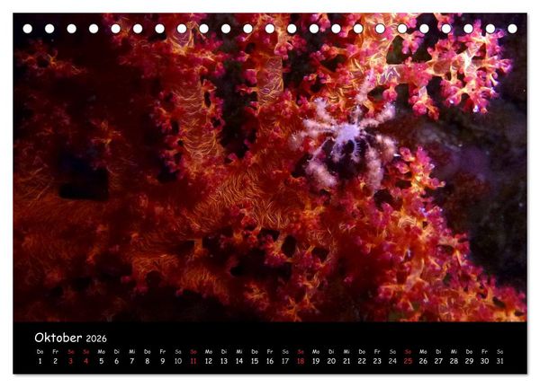 Produktbild: Rotes Meer - Unterwasserimpressionen (Tischkalender 2026 DIN A5 quer), CALVENDO Monatskalender