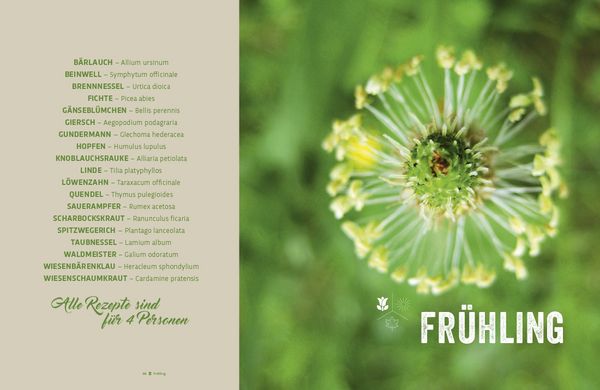 Produktbild: Fr&auml;nkisch kochen mit wilden Kr&auml;utern