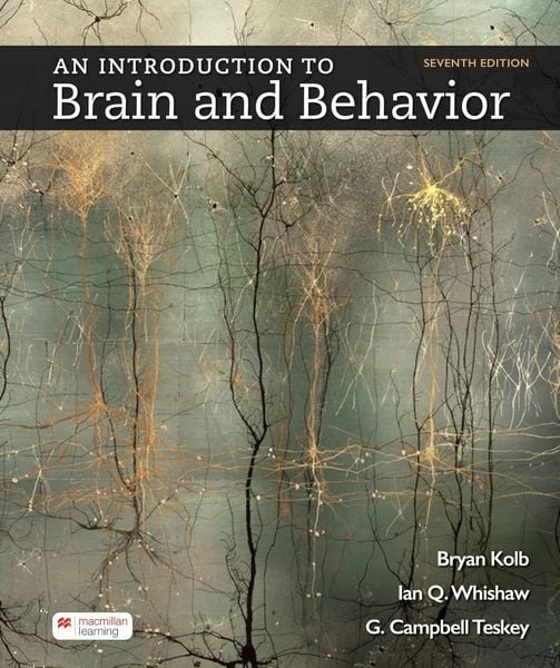 Produktbild: An Introduction to Brain and Behavior