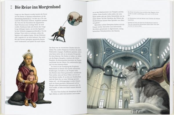 Produktbild: Wie die Katze zu uns kam