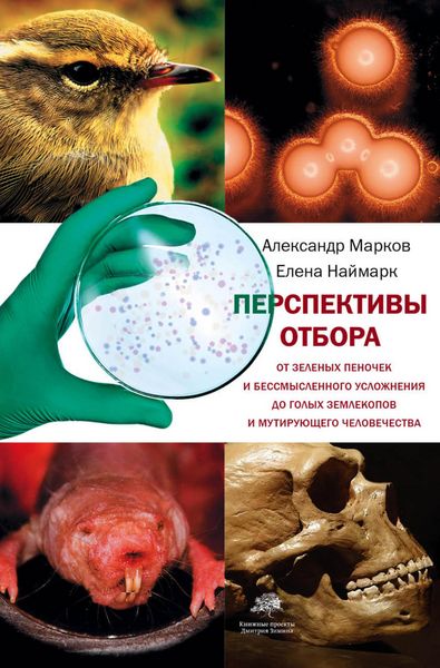 Produktbild: Perspektivy otbora