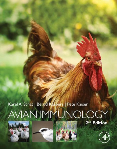 Produktbild: Avian Immunology