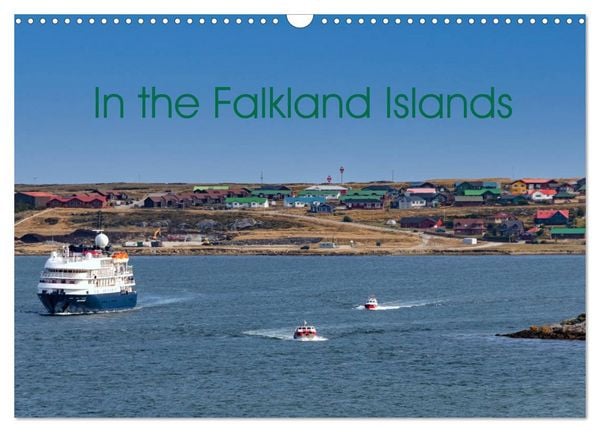 Produktbild: In the Falkland Islands (Wall Calendar 2026 DIN A3 landscape), CALVENDO 12 Month Wall Calendar