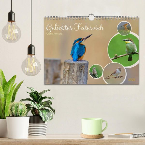 Produktbild: Geliebtes Federvieh (Wandkalender 2026 DIN A4 quer), CALVENDO Monatskalender