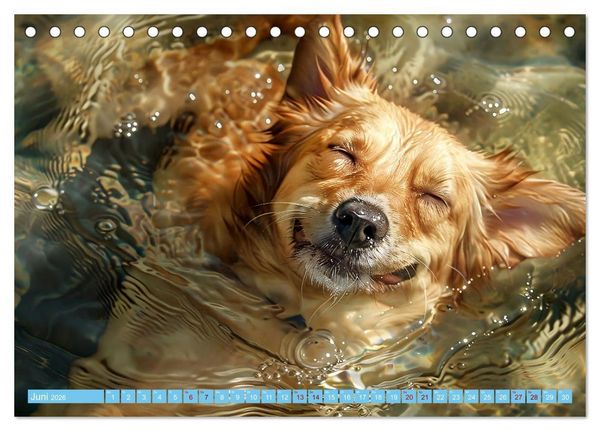 Produktbild: Hunde und Wasser (Tischkalender 2026 DIN A5 quer), CALVENDO Monatskalender