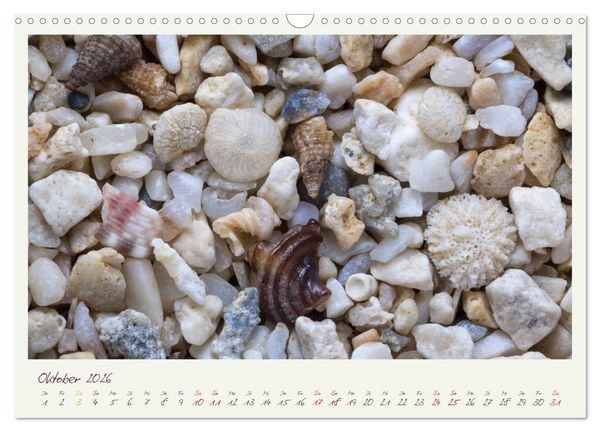 Produktbild: Abenteuer Mikrofotografie Sand (Wandkalender 2026 DIN A3 quer), CALVENDO Monatskalender