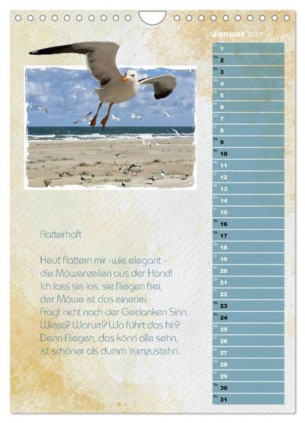 Produktbild: Wenn alle M&ouml;wen Emma hie&szlig;en... (Wandkalender 2027 DIN A4 hoch), CALVENDO Monatskalender