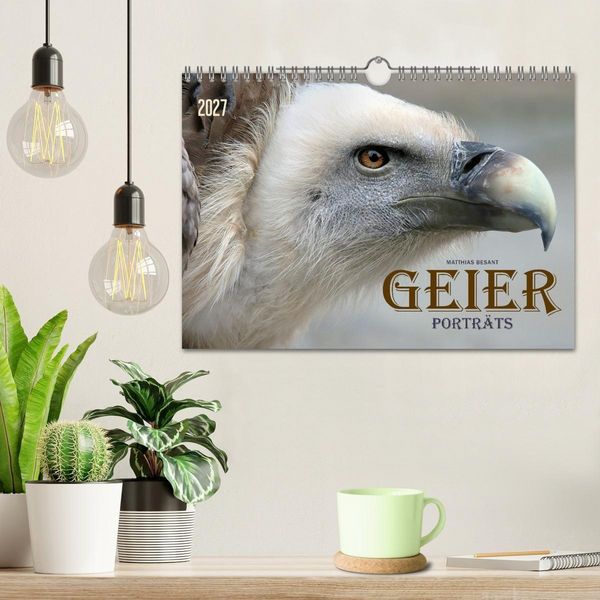 Produktbild: GEIERPORTR&Auml;TS (Wandkalender 2027 DIN A4 quer), CALVENDO Monatskalender