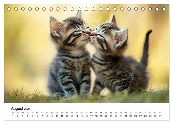 Produktbild: Katzenzauber - Samtpfoten im Jahreslauf (Tischkalender 2026 DIN A5 quer), CALVENDO Monatskalender