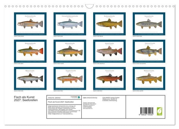 Produktbild: Fisch als Kunst 2027: Seeforellen (Wandkalender 2027 DIN A3 quer), CALVENDO Monatskalender