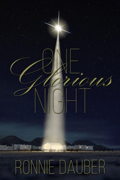 Produktbild: One Glorious Night (Jesus, #1)