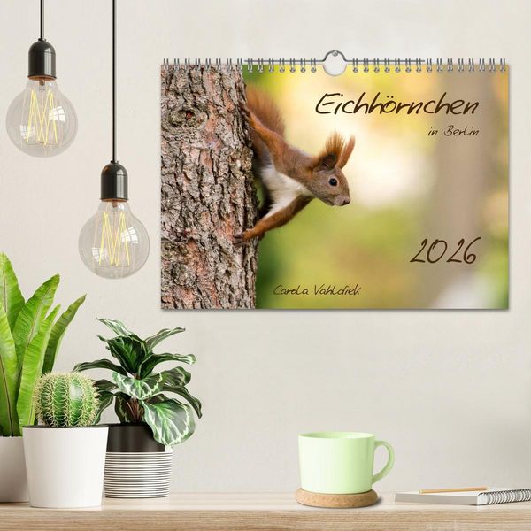 Produktbild: Eichh&ouml;rnchen in Berlin (Wandkalender 2026 DIN A4 quer), CALVENDO Monatskalender