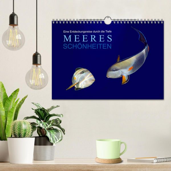 Produktbild: Meeres Sch&ouml;nheiten (Wandkalender 2026 DIN A4 quer), CALVENDO Monatskalender