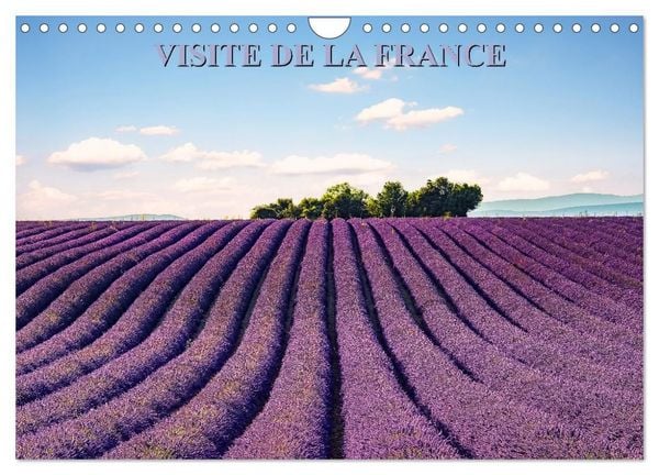 Produktbild: Visite de la France (Calendrier mural 2027 DIN A4 vertical), CALVENDO calendrier mensuel