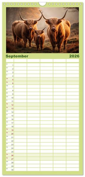 Produktbild: Familienplaner 2026 - Highland K&uuml;he mit 5 Spalten (Wandkalender, 21 x 45 cm) CALVENDO