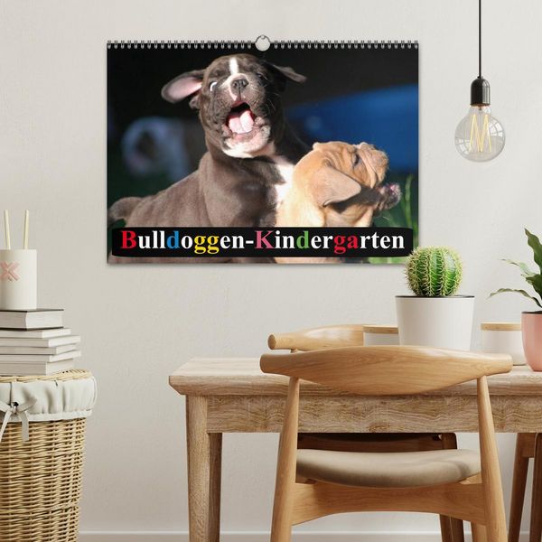 Produktbild: Bulldoggen-Kindergarten (Wandkalender 2026 DIN A3 quer), CALVENDO Monatskalender