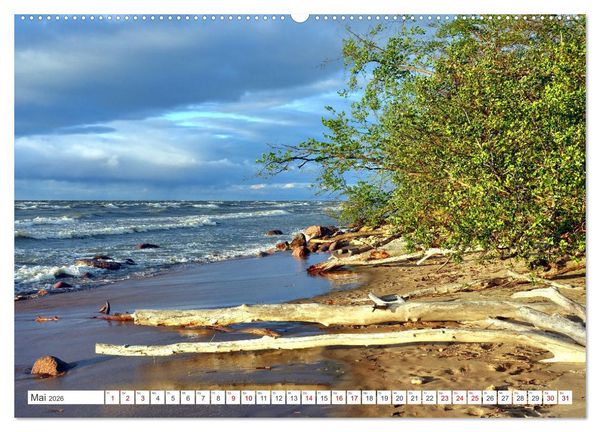 Produktbild: Traumk&uuml;ste - Estlands Naturparadies Saka (Wandkalender 2026 DIN A2 quer), CALVENDO Monatskalender