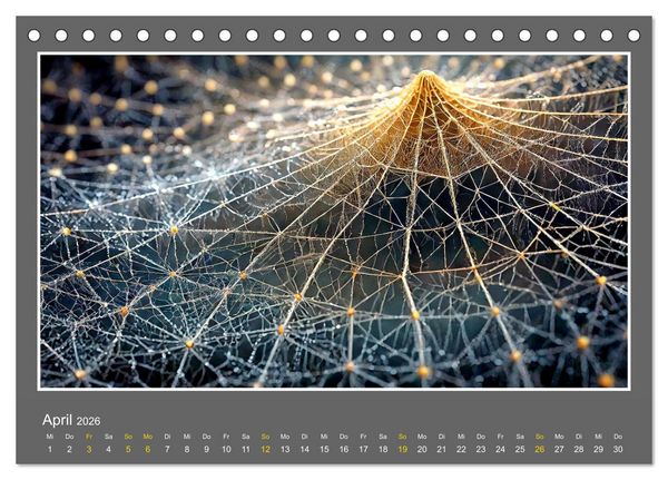 Produktbild: Strukturvisionen (Tischkalender 2026 DIN A5 quer), CALVENDO Monatskalender