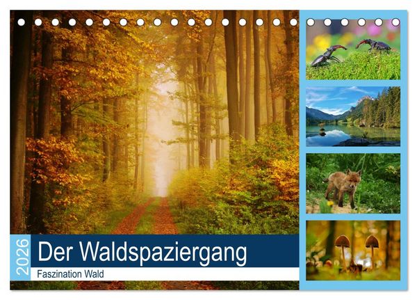 Produktbild: Der Waldspaziergang (Tischkalender 2026 DIN A5 quer), CALVENDO Monatskalender
