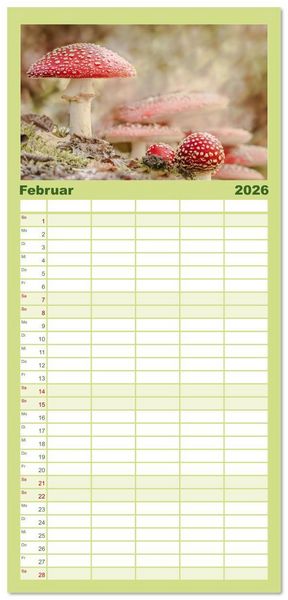Produktbild: Familienplaner 2026 - Wundersame Pilzwelten mit 5 Spalten (Wandkalender, 21 x 45 cm) CALVENDO