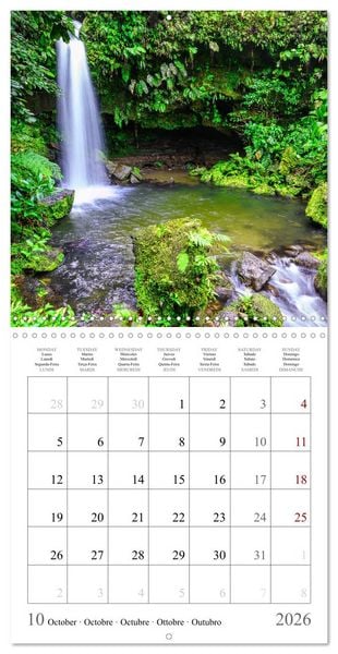Produktbild: Dream destinations in the Caribbean (Wall Calendar 2026 12 &times; 12 Inch) CALVENDO 12 Month Wall Calendar
