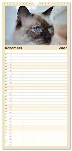 Produktbild: Familienplaner 2027 - Katzen im Portr&auml;t / Geburtstagskalender mit 5 Spalten (Wandkalender, 21 x 45 cm) CALVENDO
