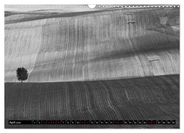 Produktbild: Toscana - monocromatico (Wandkalender 2026 DIN A3 quer), CALVENDO Monatskalender