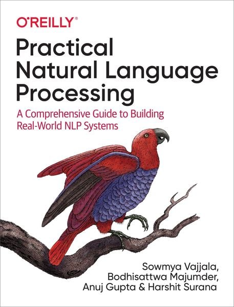 Produktbild: Practical Natural Language Processing