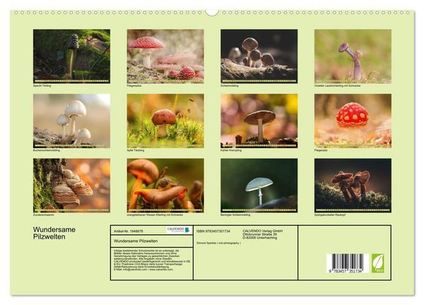 Produktbild: Wundersame Pilzwelten (hochwertiger Premium Wandkalender 2026 DIN A2 quer), Kunstdruck in Hochglanz