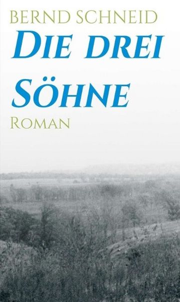 Produktbild: Die drei S&ouml;hne