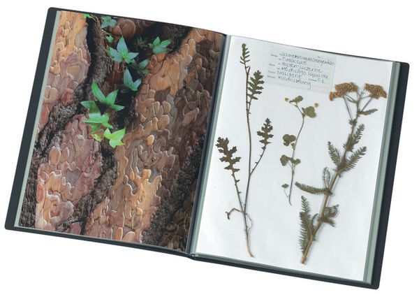 Produktbild: Sichtbuch Selection A4 Recycl.