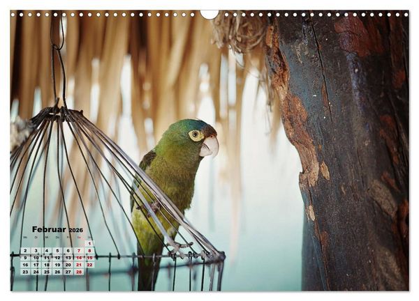 Produktbild: Nicaraguas faszinierende Flora & Fauna (Wandkalender 2026 DIN A3 quer), CALVENDO Monatskalender