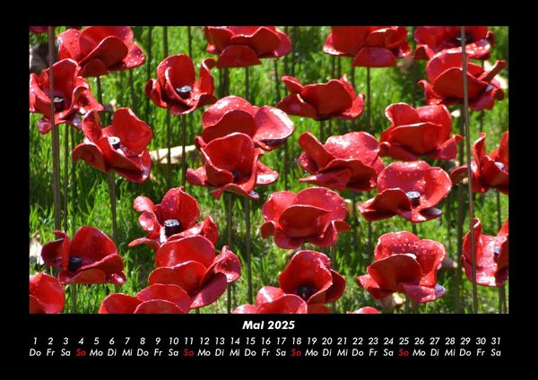 Produktbild: Blumenkalender 2025 Fotokalender DIN A3