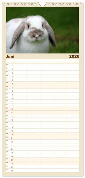 Produktbild: Familienplaner 2026 - Hasen - Die niedlichen Hoppeltiere. mit 5 Spalten (Wandkalender, 21 x 45 cm) CALVENDO