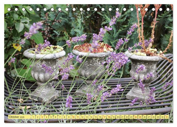 Produktbild: Gartentr&auml;umerei (Tischkalender 2026 DIN A5 quer), CALVENDO Monatskalender