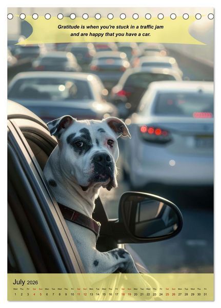 Produktbild: A year of greatfullness with funny animals (Desk Calendar 2026 DIN A5 portrait), CALVENDO 12 Month DeskCalendar