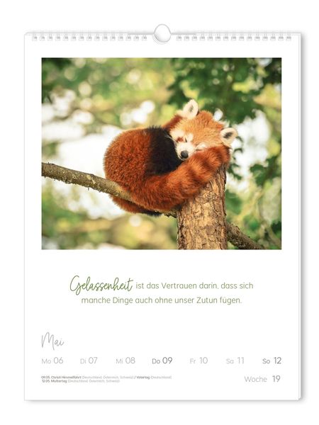 Wochenkalender 2024 LebensWeisheiten