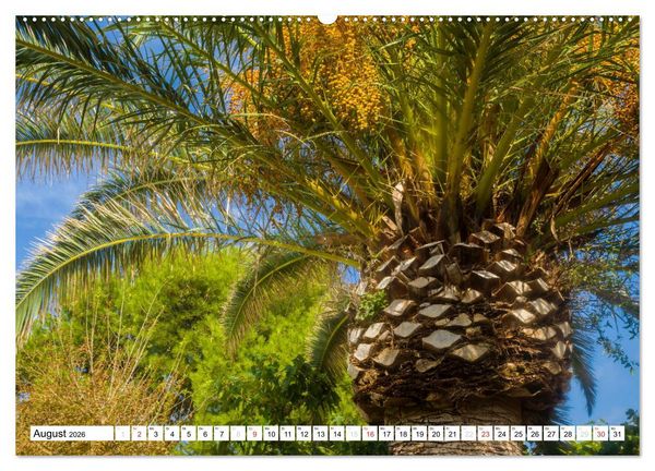Produktbild: Miami Platja - Unvergessliche Meerblicke (Wandkalender 2026 DIN A2 quer), CALVENDO Monatskalender