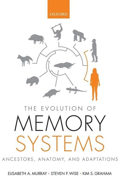 Produktbild: The Evolution of Memory Systems