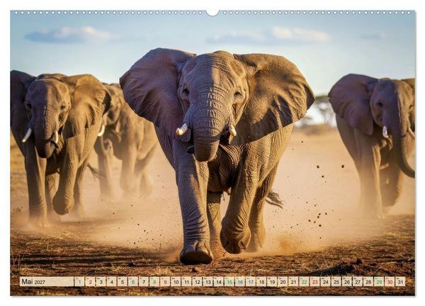 Produktbild: Gro&szlig;e und kleine Elefanten (Wandkalender 2027 DIN A2 quer), CALVENDO Monatskalender