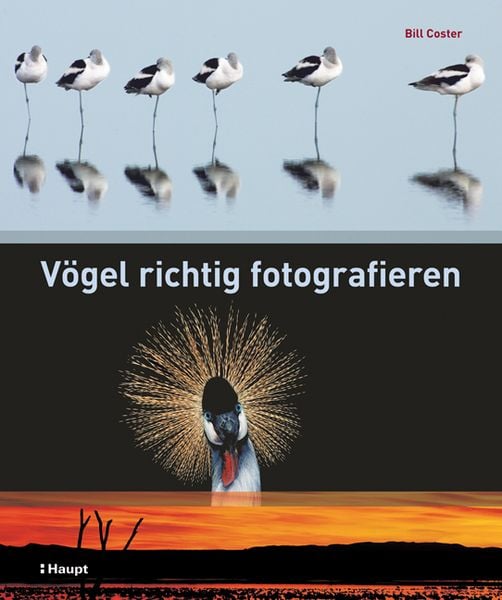 Produktbild: V&ouml;gel richtig fotografieren